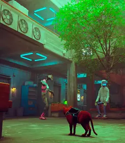 Stray PS5 - Imagen 3