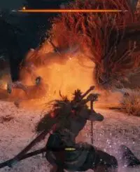 Sekiro_shadows_die_twice_ps4