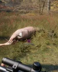 thehunter-call-of-the-wild-ps4