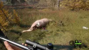 thehunter-call-of-the-wild-ps4