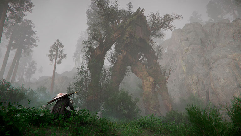 Crimson Desert PS5 - Imagen 2